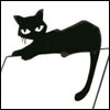 Avatar di LiblulaBlu